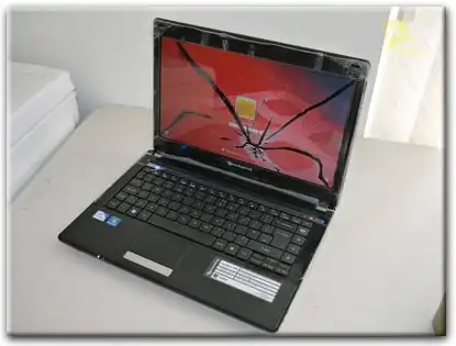 Замена матрицы Packard Bell в Тамбове